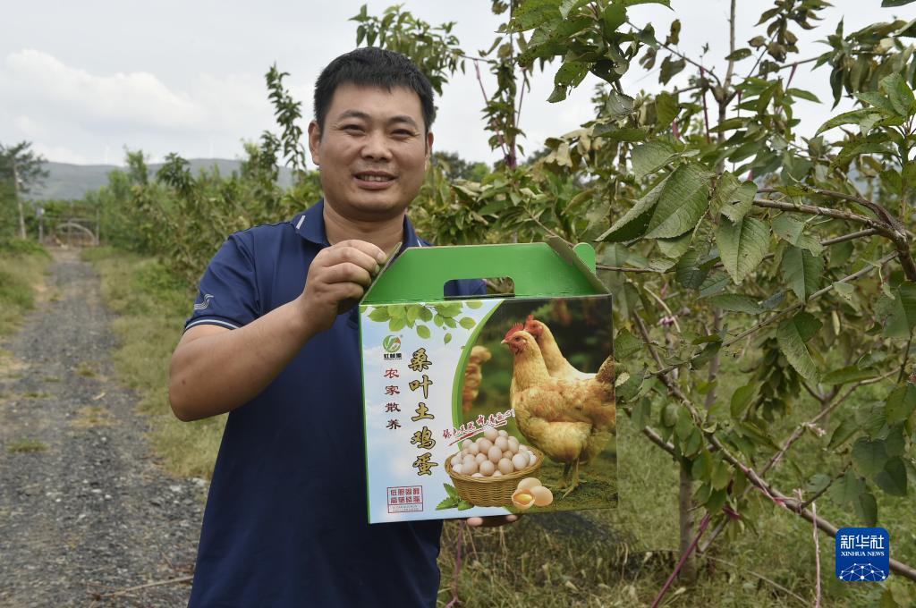 菠菜 金沙